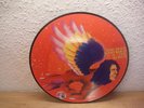 David Bowie – The Man Who Sold The World rare RSD Picture Vinyl Disc Mint-