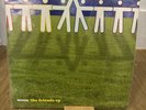 Ween - The Friends EP 2007 Picture Disc Out Of Print RARE