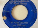 Doo Wop R&B 45 THE STROLLERS In Your Dreams/Go Where Baby Lives States HEAR