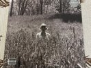 Taylor Swift Folklore in The Weeds (Limited Edition Deluxe, Vinyl LP, 2020)