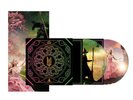 Wicked The Soundtrack Picture Disc Vinyl Ariana Grande Cynthia Erivo Fast Ship