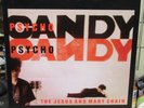THE JESUS AND MARY CHAIN RECORD 