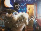 Fall Out Boy  - Infinity On High - Signed