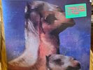 The Roches We Three Kings LP Christmas MCA 10020 Promo 1990