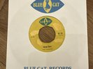 Reggae The Pioneers – Regga Beat Blue Cat Records – BS 139