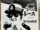 THE SPECIALS Rat Race 1980 7'' JAPAN SINGLE Promo 2-Tone Rare