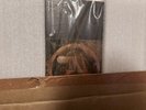Aphex Twin Selected Ambient Works Volume 2  -Limited Oak & Copper Boxset
