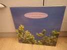 The Go Betweens 1978 - 1990, Original 1990 Vinyl Release, BEGA104, VG+