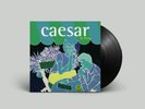 Ween Caesar Quebec Demos Vinyl LP Unofficial