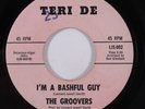 Northern Soul 45 GROOVERS I'm A Bashful Guy TERI DE VG++ HEAR a