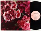 Biff Bang Pow  - The Girl Who Runs The Beat Hotel LP - Creation UK VG+