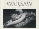 WARSAW aka JOY DIVISION - Warsaw (reissue) - 180 GRAM GREY MARBLED VINYL LP