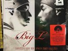 BIG L - DEVIL'S SON EP (FROM THE VAULTS) (VINYL EP) RSD 2017   RARE   D.I.T.C.
