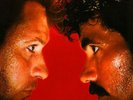 Hall And Oates - H2O | Audiophile 180g Vinyl | Limited Edition MFSL