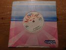 SMALL WONDER' ORDINARY BOY / RIDE A BLACK SHEEP ' 7'' PROMO