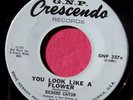 RICHARD CAITON - You Look Like a Flower - super clean 45 rpm - GNP Crescendo 327