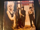 'TIL TUESDAY Welcome Home - NEW SEALED 1986 Vinyl LP Record New Wave Aimee Mann
