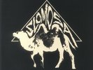 SLOMOSA - Slomosa - Vinyl (blue vinyl LP + insert (indie exclusive))