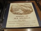 Sounds of Sea Animals Vol. II Florida Record - Florida State University FPX125