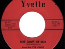 Rare KILLER Doo Wop 45- The Five Kings: Here Comes My Baby on Yvette