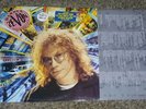 WARREN ZEVON Transverse City VINYL LP NM Hype Sticker Original Clean Copy