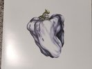 Ween White Pepper 2009 Vinyl 180g Plain144