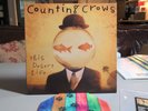 Counting Crows This Desert Life Vinyl
