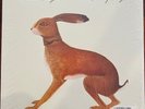 RARE Vashti Bunyan Lookaftering NM Vinyl Record Album Dicristina Gatefold