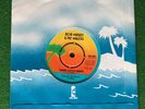 BOB MARLEY THE WAILERS THREE LITTLE BIRDS  REGGAE 7