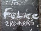 The Felice Brothers -  1st Press Coppertree Records 2008 - Brand New Sealed 2LP