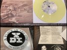 YDI A Place In The Sun 7” Yellow Vinyl 100-Sadistic Exploits Black Flag Necros