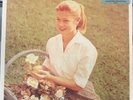 Helmet Betty 2xLP LP RSD 2024 Black Friday Baby Blue Vinyl New / Sealed