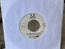 Brass Horizon - We Just Want To Play RARE Bay Area Funk/Soul 7” 45RPM Minda Mark