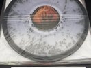ALICE IN CHAINS Jar Of Flies CLEAR FLY VINYL Exclusive RARE /150