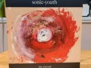 Sonic Youth - The Eternal (Record, 2009)