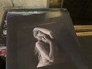Taylor Swift Tortured Poets Vinyl + The Black Dog Used Very Good Never Played