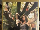Belle and Sebastian What to Look for in Summer (Vinyl) 2LP - New Imperfect Cover