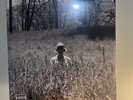 In The Weeds Folklore Vinyl Variant Taylor Swift - Made In France (Sealed)