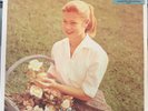 Helmet Betty 2xLP LP RSD 2024 Black Friday Baby Blue Vinyl New / Sealed