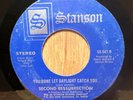 SECOND RESURRECTION   You Done Let The Daylight Catch You   soul 45   Stanson og