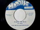 Carl Bryan & Rhythm Rulers 