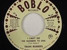 Train Robbers 
