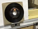 THE TOKENS-GET A JOB/PLEASE SAY YOU WANT ME/1969/1970/MINT- VINYL