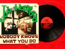 JOHN HARTFORD   NOBODY KNOWS WHAT YOU DO    1976 BLUEGRASS FLYING FISH LP
