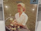 HELMET - BETTY - 2 LP BABY BLUE VINYL RECORD NEW SEALED RSD BF 2024