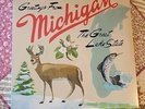 Sufjan Stevens Michigan State AKR (BLUE GREEN COLOR) 2LP Vinyl Record
