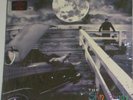 Eminem - The Slim Shady LP (2xLP, Album, Bla) (Very Good Plus (VG+))