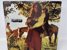 FEAR ITSELF self titled LP (Dot 25942, orig '68) Psych Blues Rock