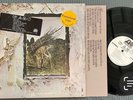 Led Zeppelin GF LP ATLANTIC 7206 ZOSO WHITE LABEL PROMO 1971 w/HYPES