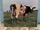 Pink Floyd – Atom Heart Mother Vinyl, 1970 LP Harvest – SKAO-382